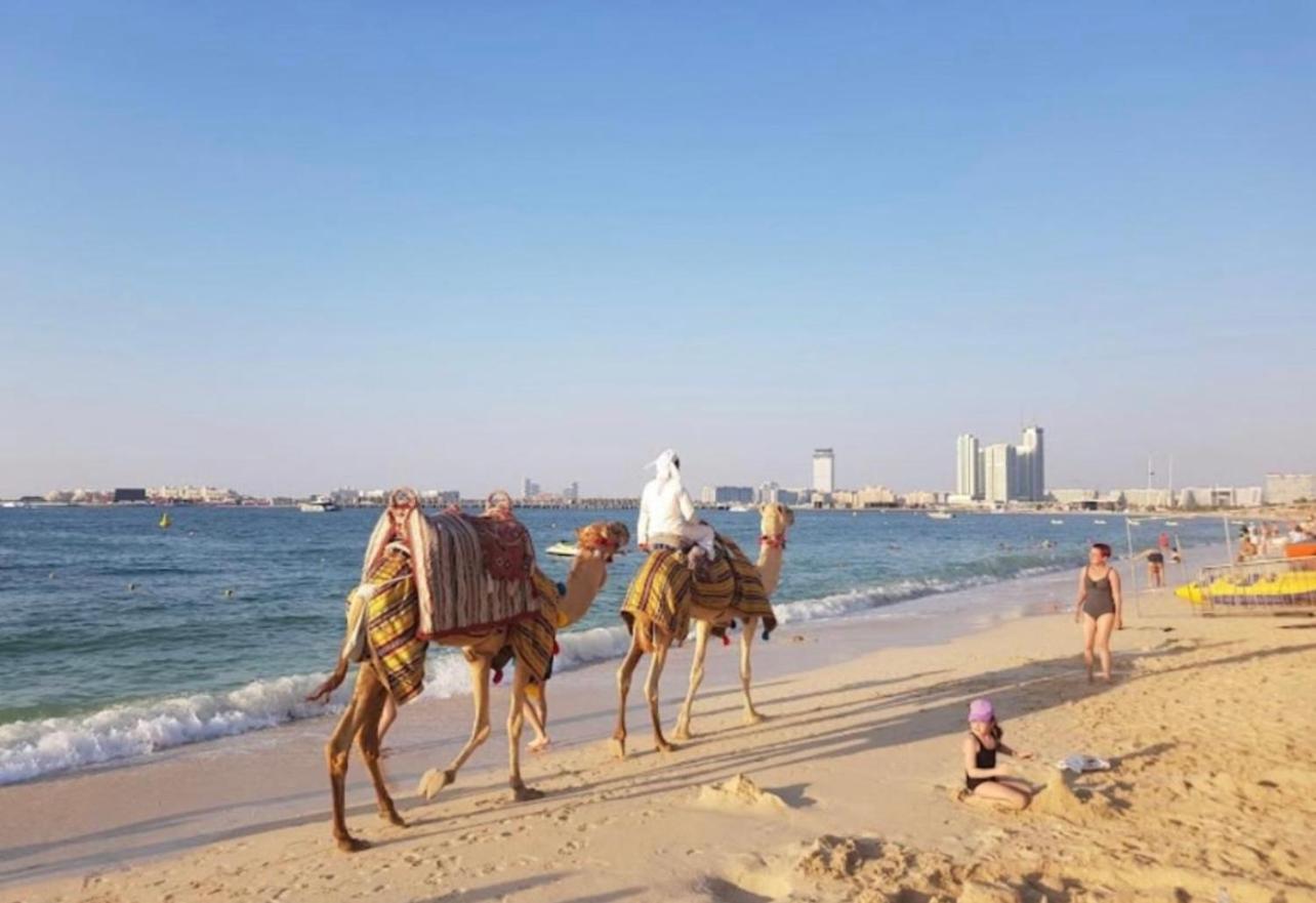 Seaview Beach Hostel Jbr - Walk To Beach - Gym - Pool - Metro Station Dubai Ngoại thất bức ảnh